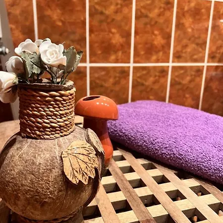 Conacul De Vacanta Guest house *