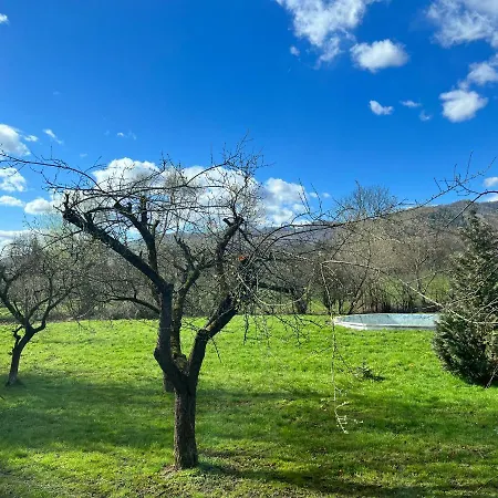 Conacul De Vacanta * Sinca Noua