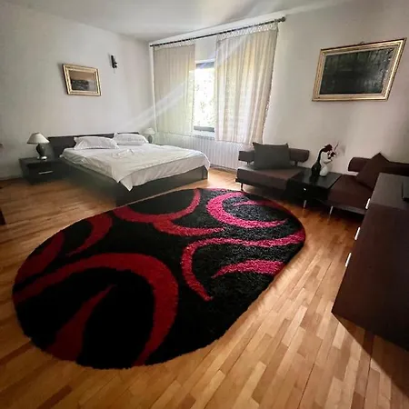Conacul De Vacanta Guest house Sinca Noua