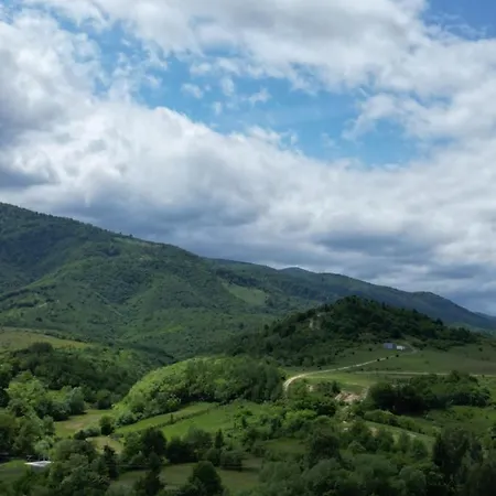 Gasthof Conacul De Vacanta Sinca Noua
