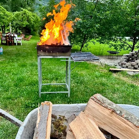 Gasthof Conacul De Vacanta *