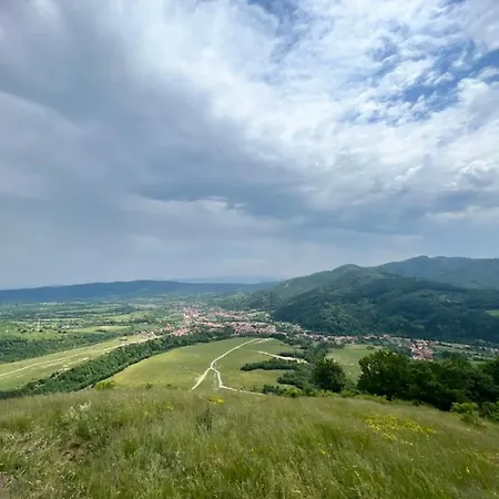 Gasthof Conacul De Vacanta Sinca Noua